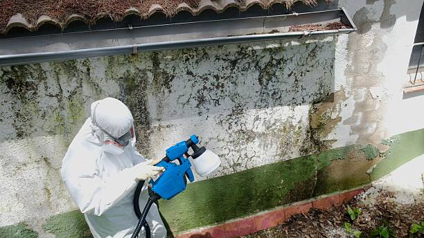 Trusted Mold Testing service in Fort Lupton, CO - Cheap Mold Removal